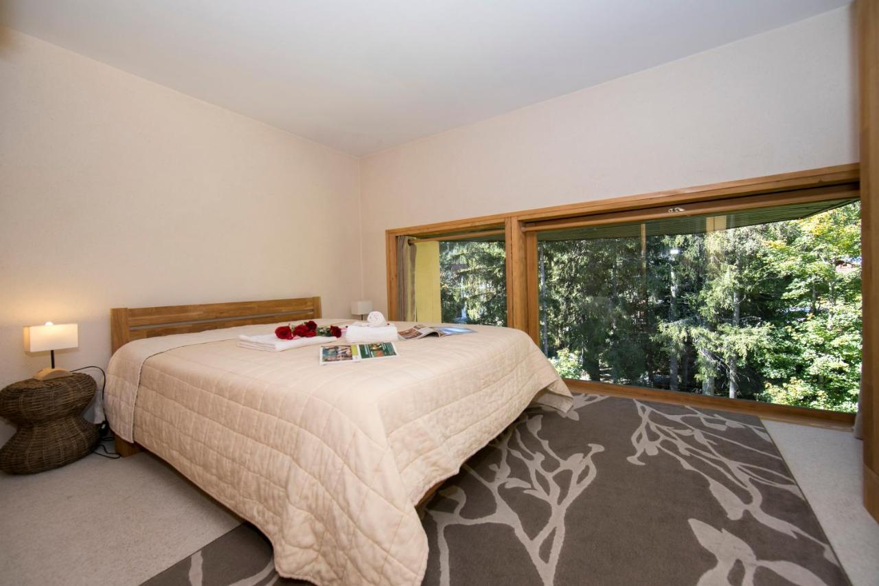 Residence Grand Roc - Ancolies 104 - Happy Rentals Chamonix Exteriér fotografie